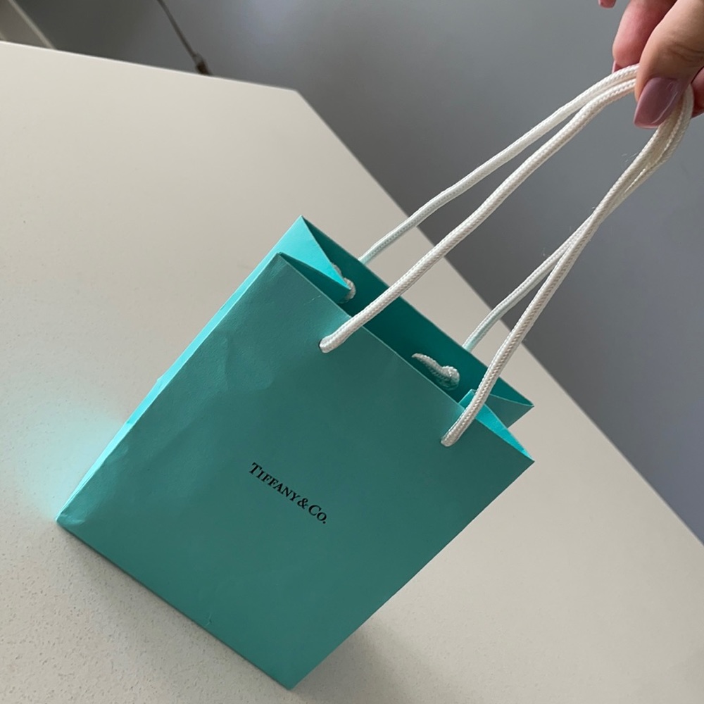 Tiffany & Co Small Jewelry Shopping Bag XS